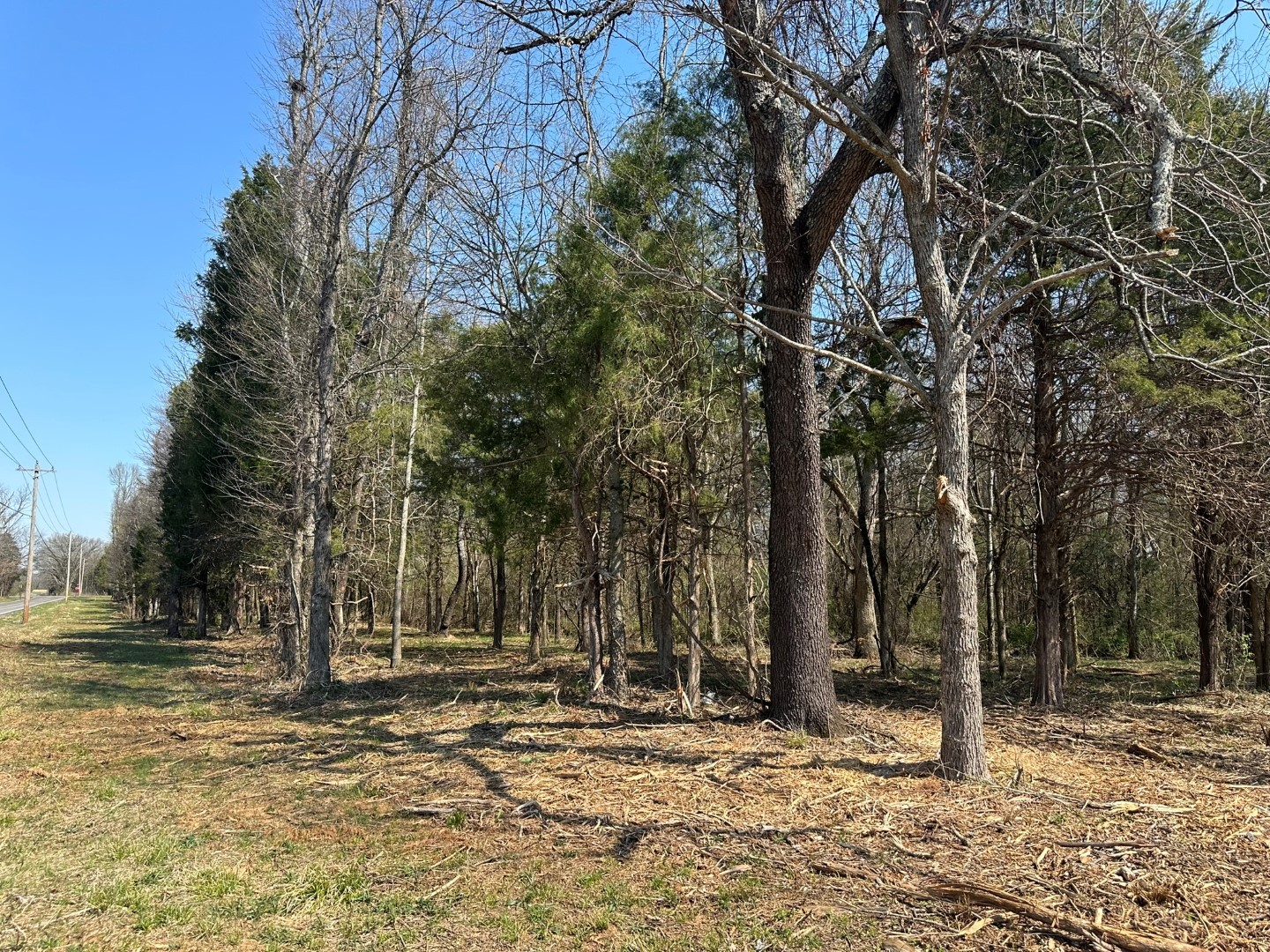0 Rucker Road Christiana, TN 37037 - Photo 1 of 14 Gallery Image 1