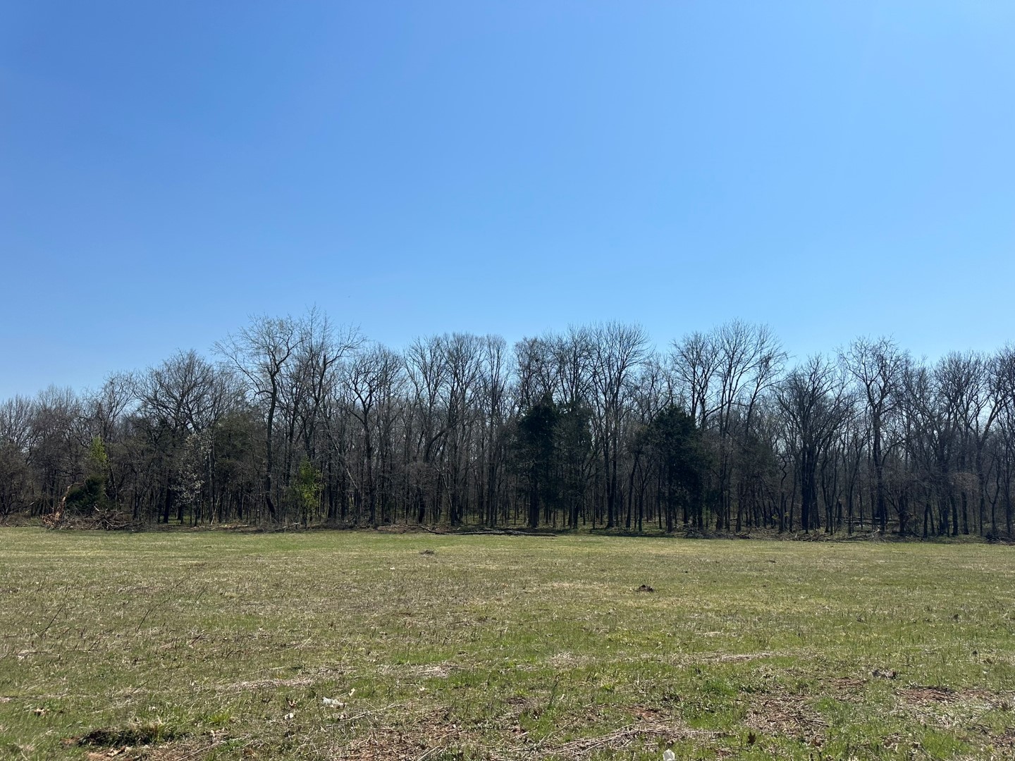 0 Rucker Road Christiana, TN 37037 - Photo 13 of 14 Gallery Image 13
