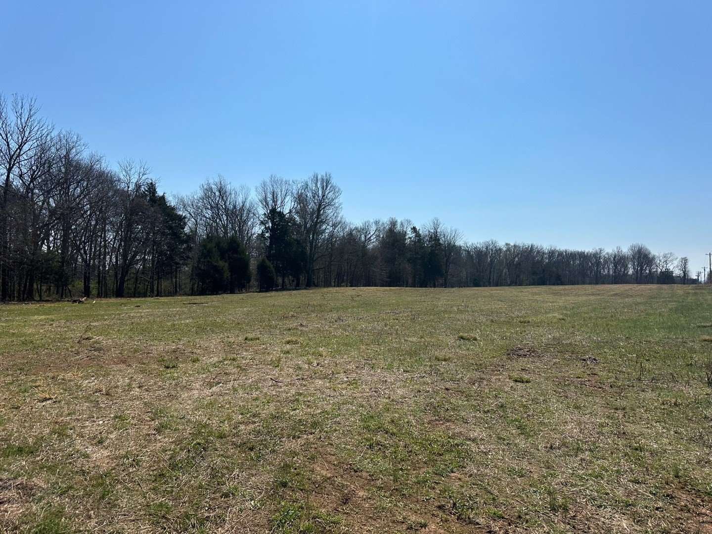 0 Rucker Road Christiana, TN 37037 - Photo 2 of 14 Gallery Image 2