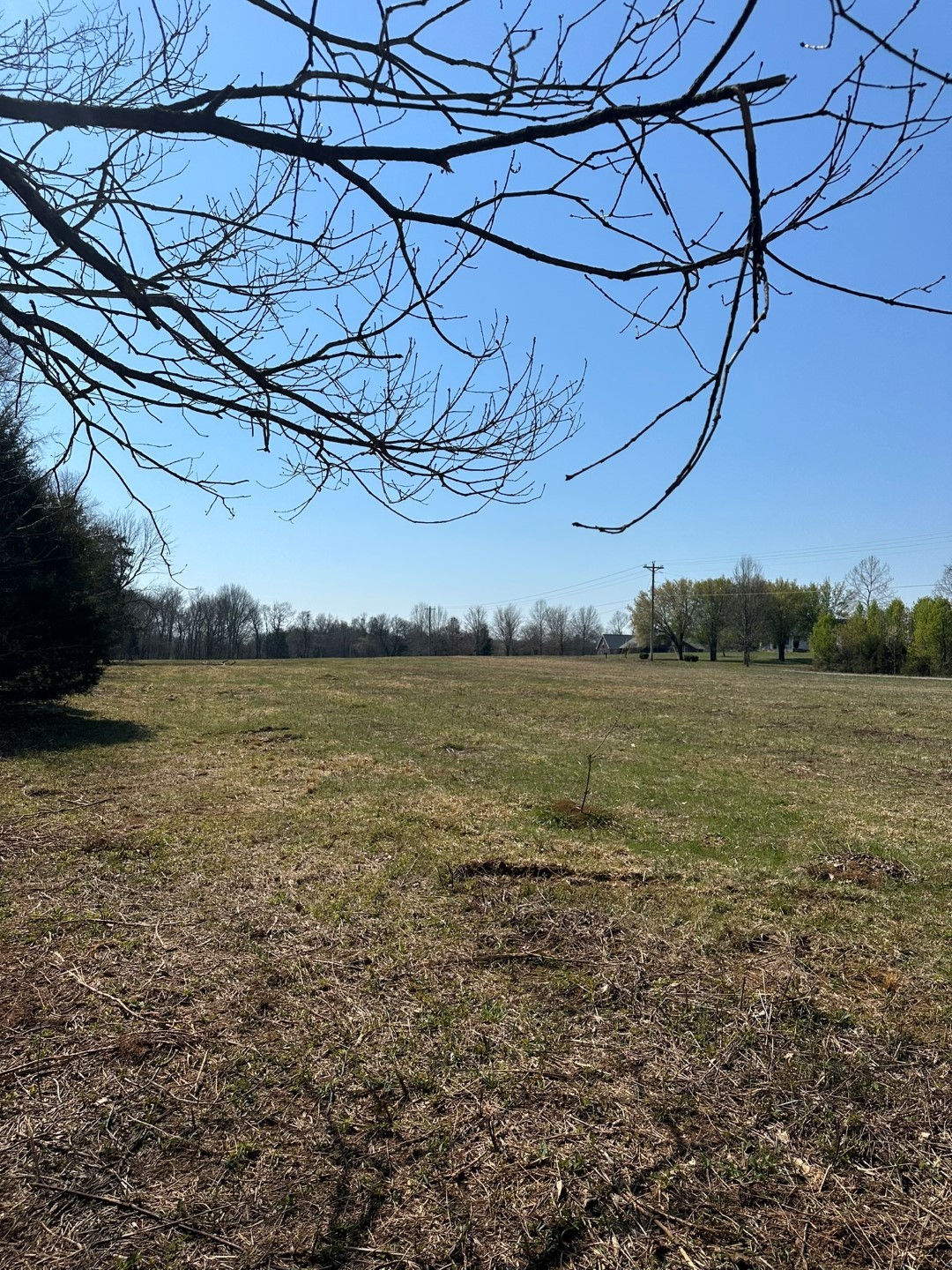 0 Rucker Road Christiana, TN 37037 - Photo 4 of 14 Gallery Image 4