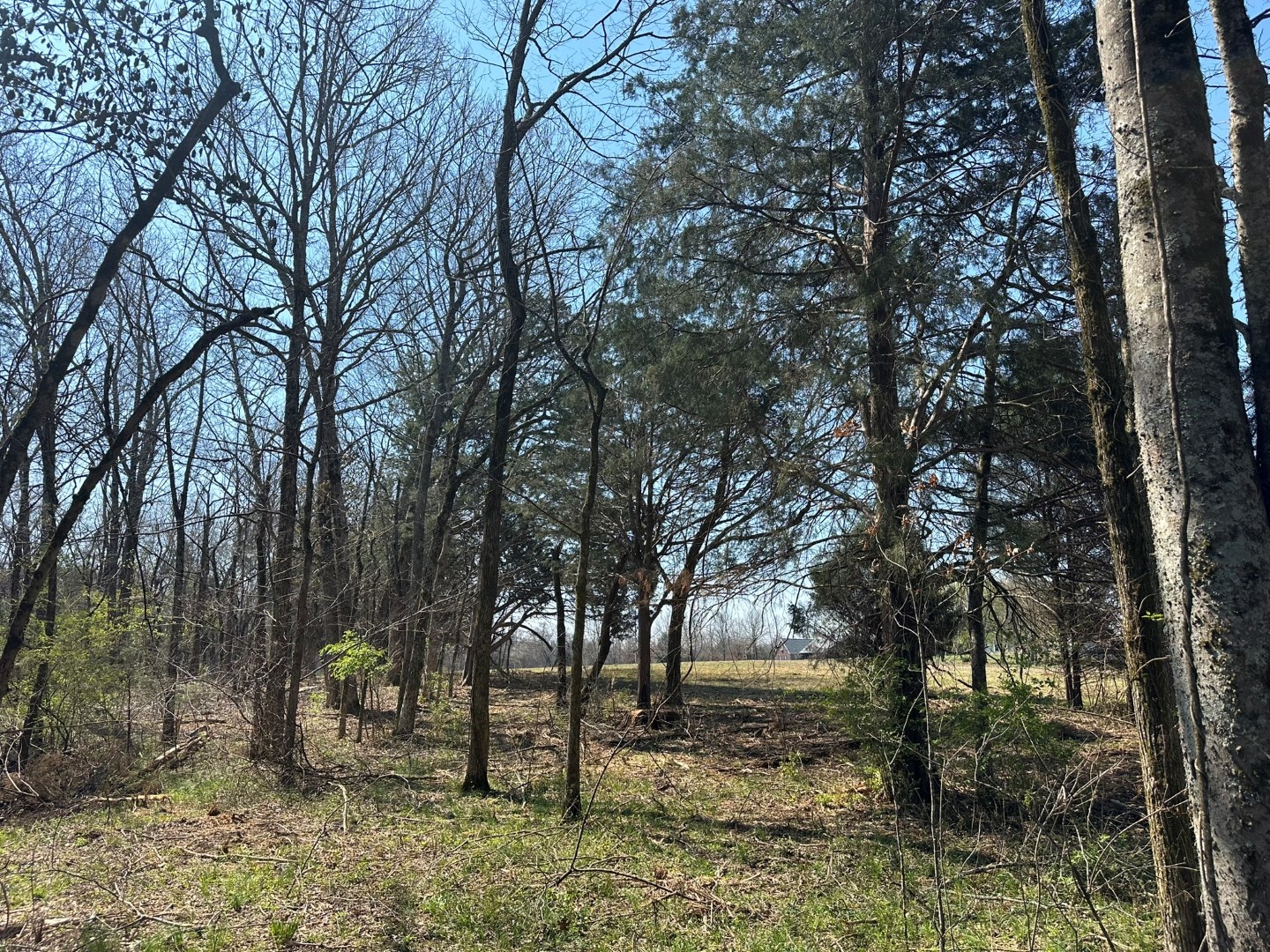 0 Rucker Road Christiana, TN 37037 - Photo 6 of 14 Gallery Image 6