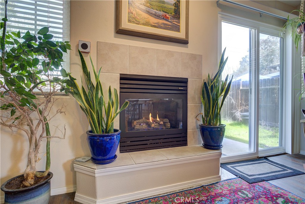 705 Turtle Creek Road Paso Robles, CA 93446 - Photo 3 of 14 a potted plant sitting on a floor next to a window