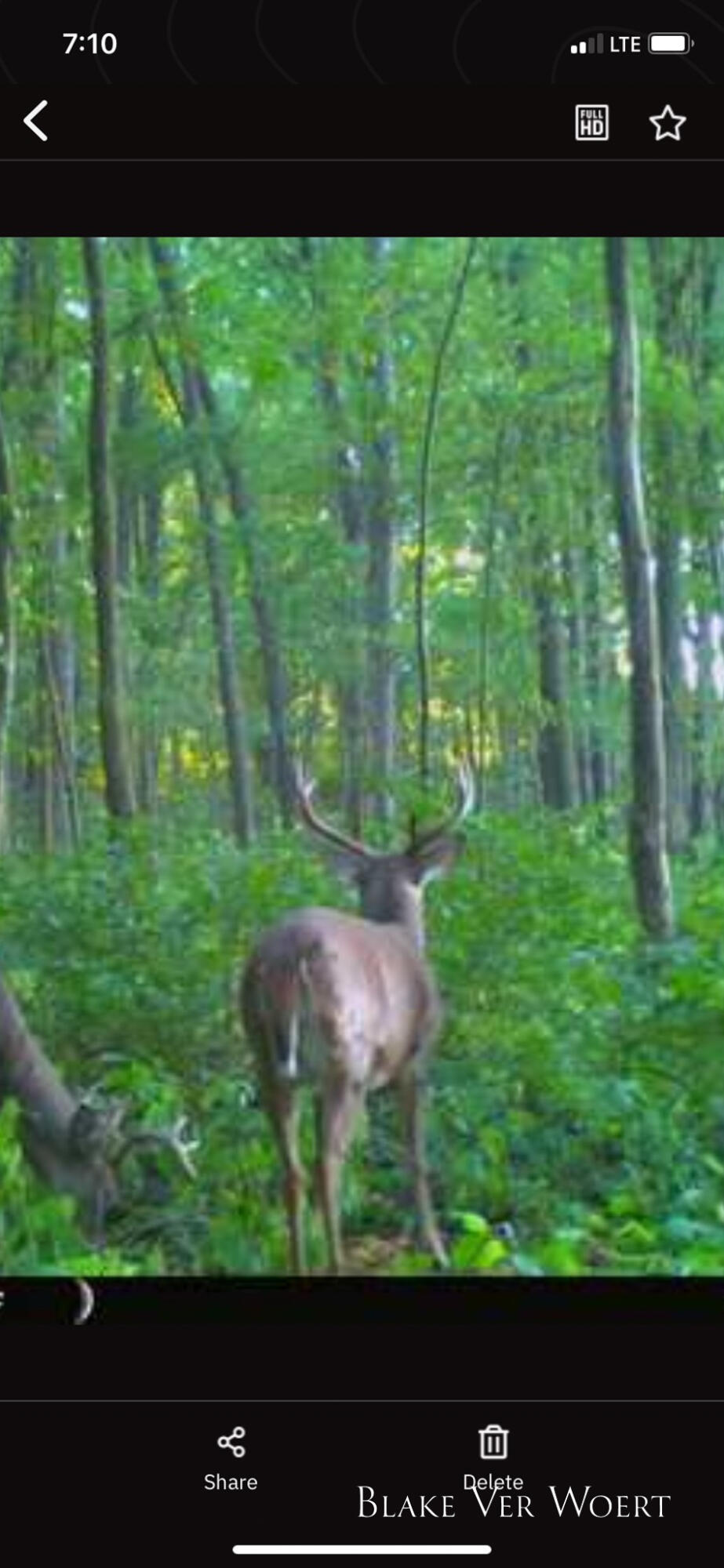 West Weston Road Sand Creek, MI 49279 - Photo 15 of 19 IMG_1590