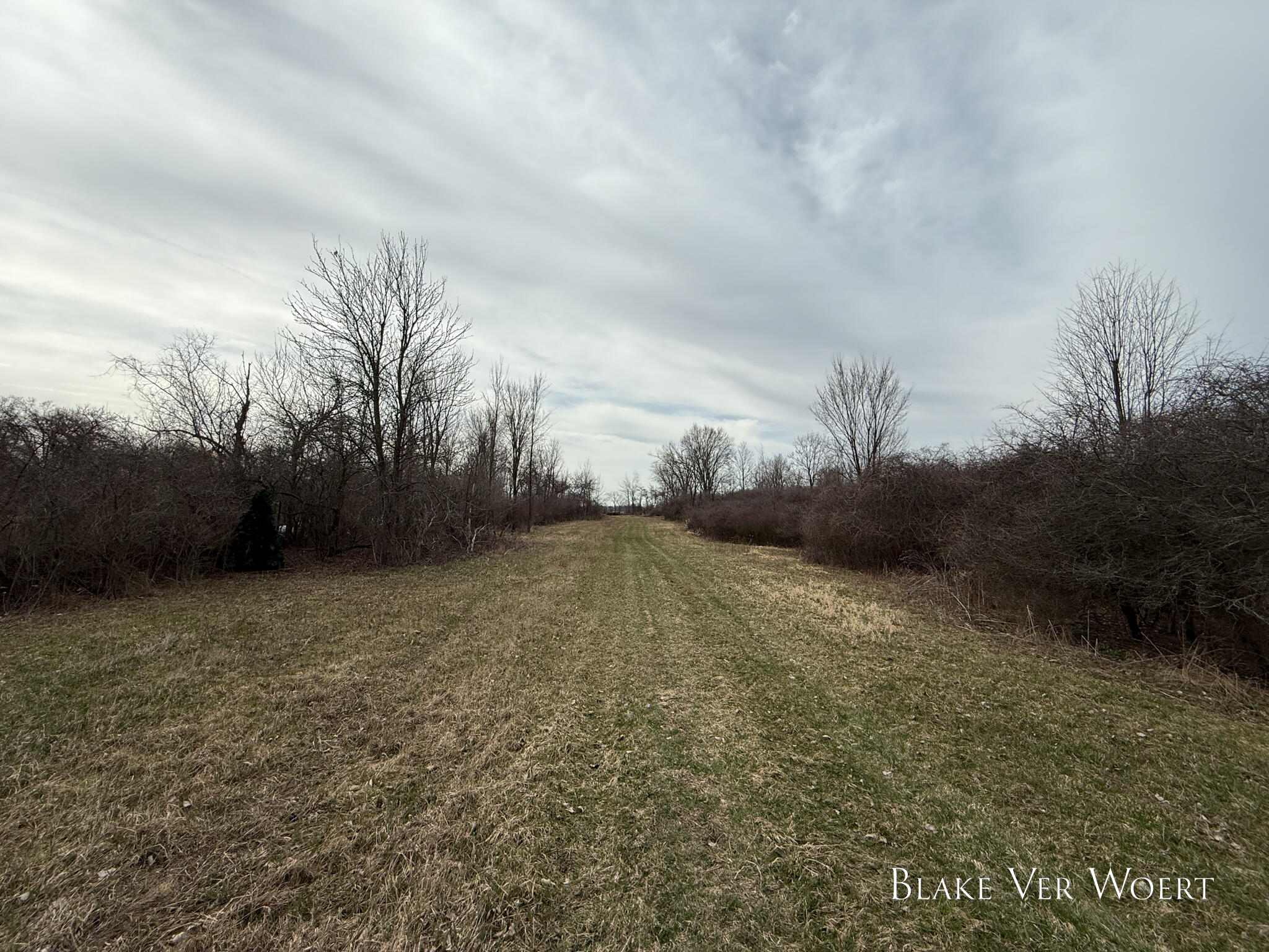West Weston Road Sand Creek, MI 49279 - Photo 10 of 19 IMG_8583