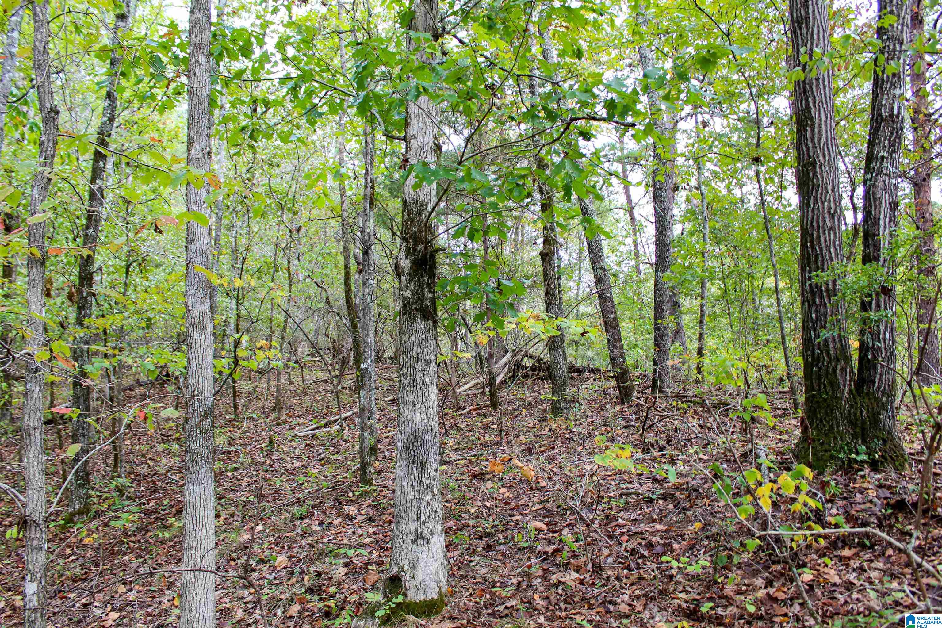 1 Highway 18, Unit 1 Oakman, AL 35579 - Photo 37 of 46