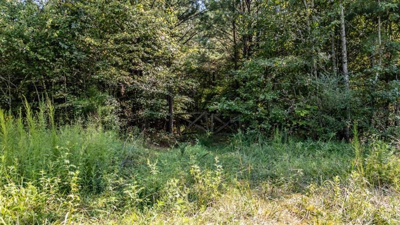 0 Clement Road LaFayette, GA 30728 - Photo 2 of 7