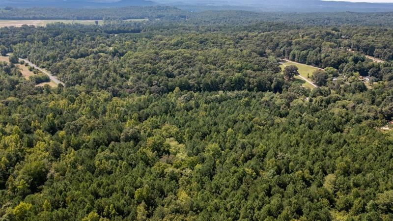 0 Clement Road LaFayette, GA 30728 - Photo 4 of 7