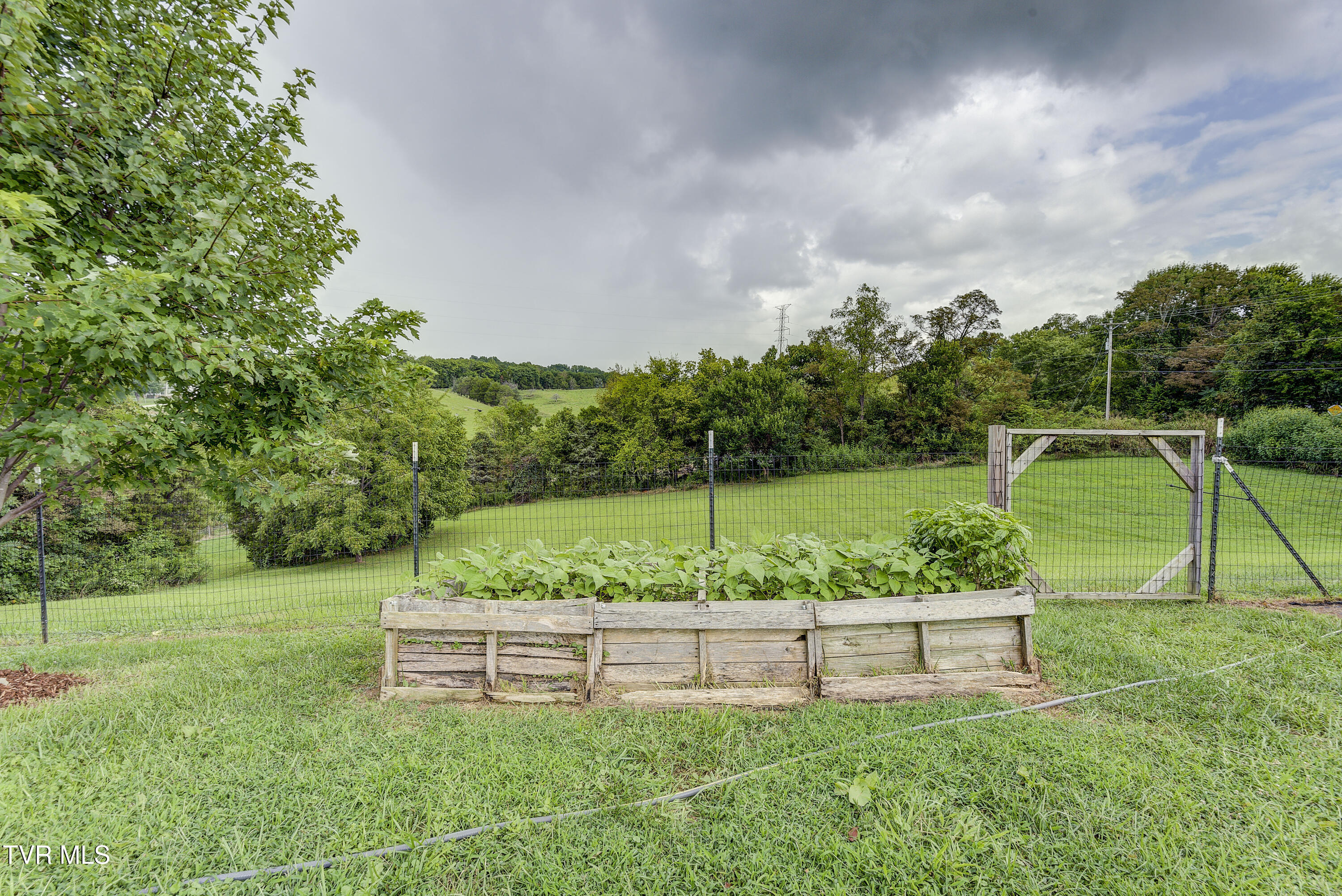 201 Hartsell Road Jonesborough, TN 37659 - Photo 47 of 81 Raised beds