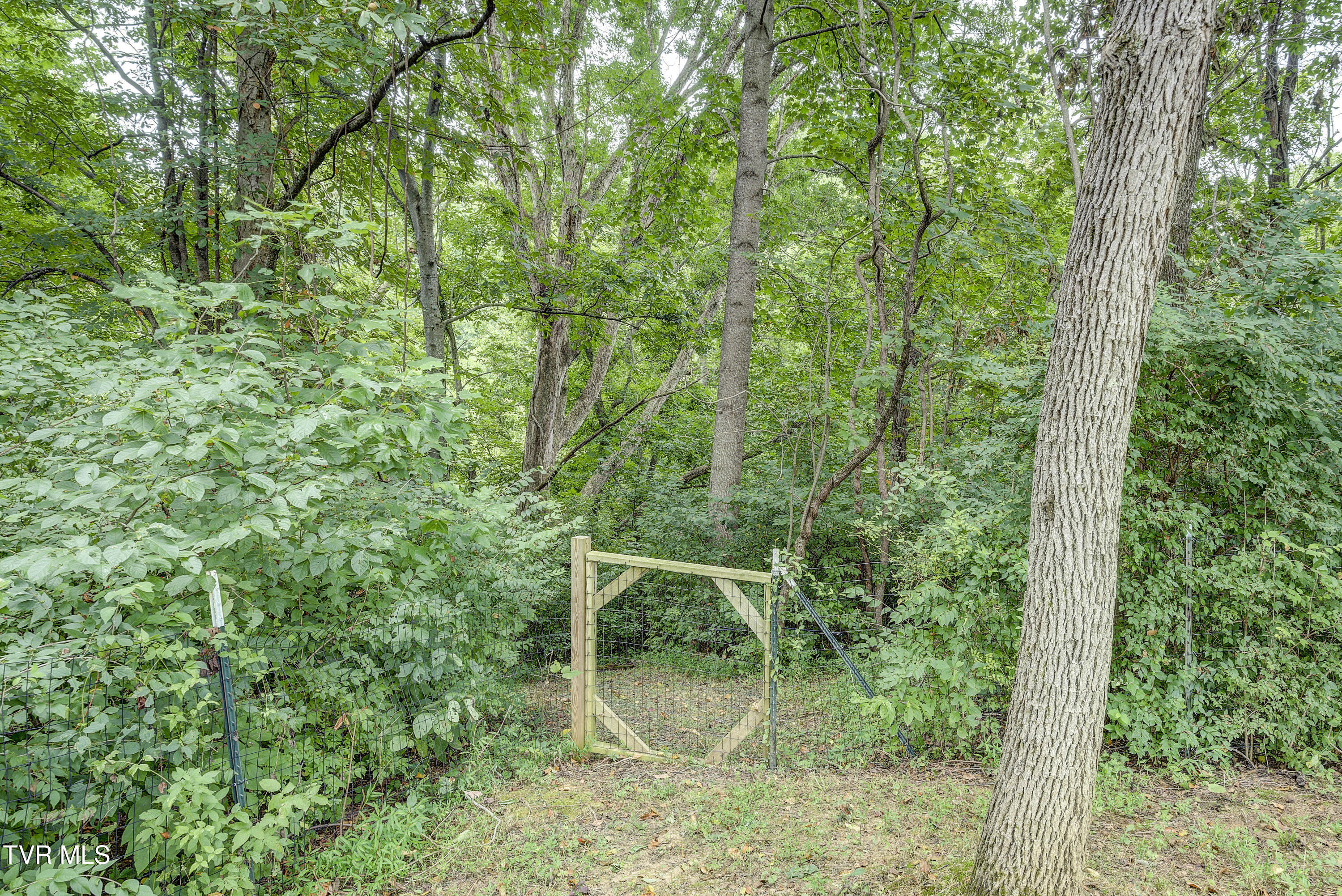 201 Hartsell Road Jonesborough, TN 37659 - Photo 50 of 81 Gate to nature path