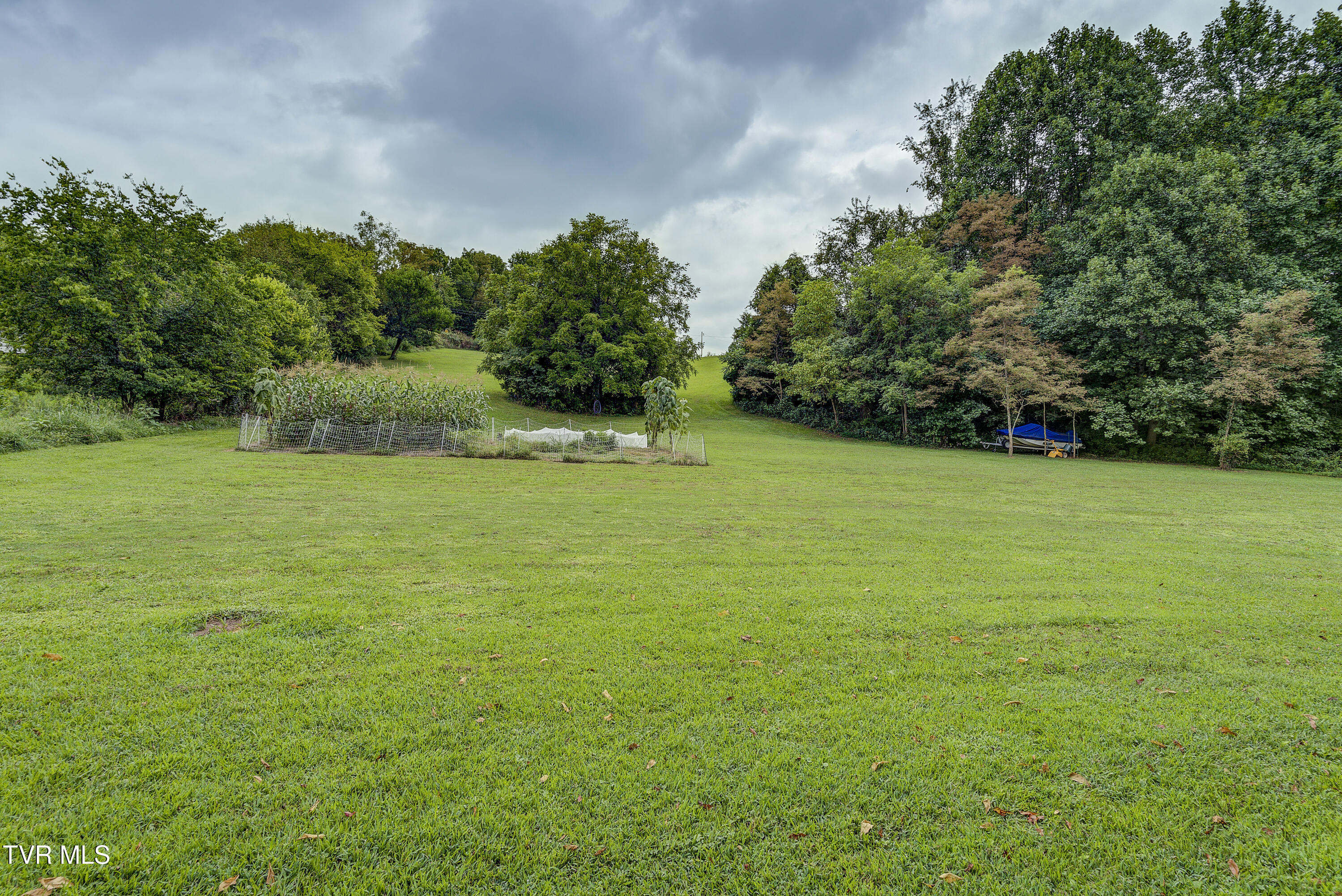 201 Hartsell Road Jonesborough, TN 37659 - Photo 58 of 81 Garden