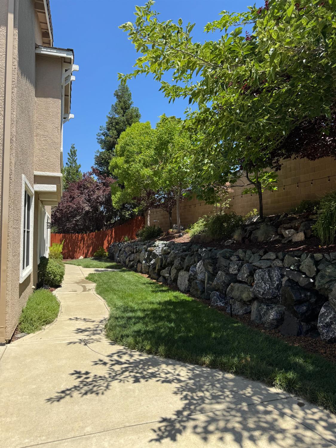 5950 Tanus Circle Rocklin, CA 95677 - Photo 58 of 70 Photo from 2025 with trees in season
