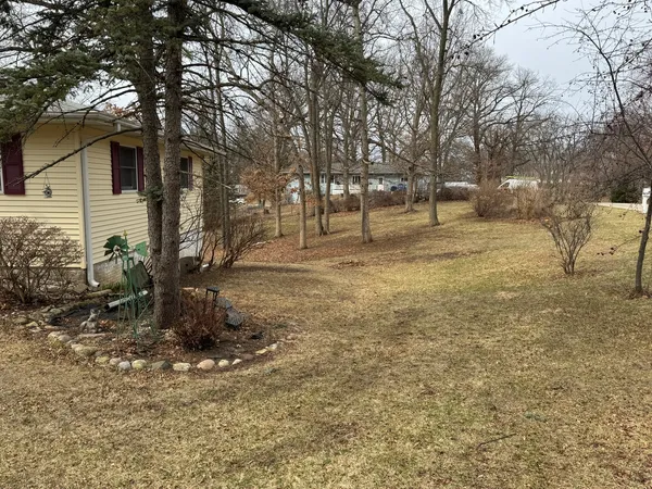 a view of yard