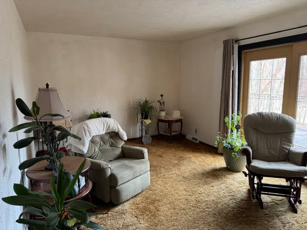 a living room with furniture and a potted plant