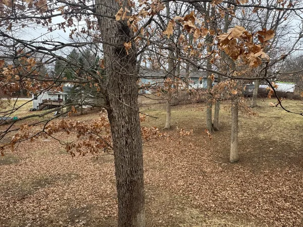 a view of a yard