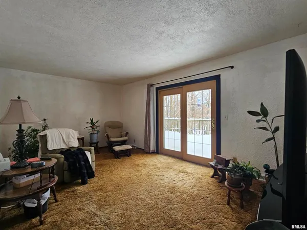a living room with furniture flowerpot and flower pot