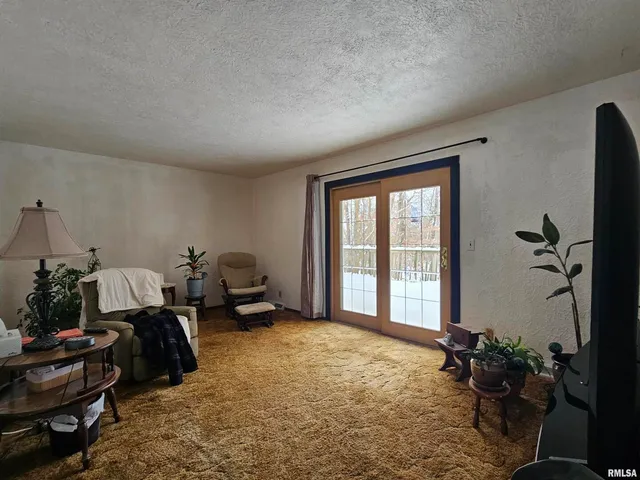 a living room with furniture flowerpot and flower pot