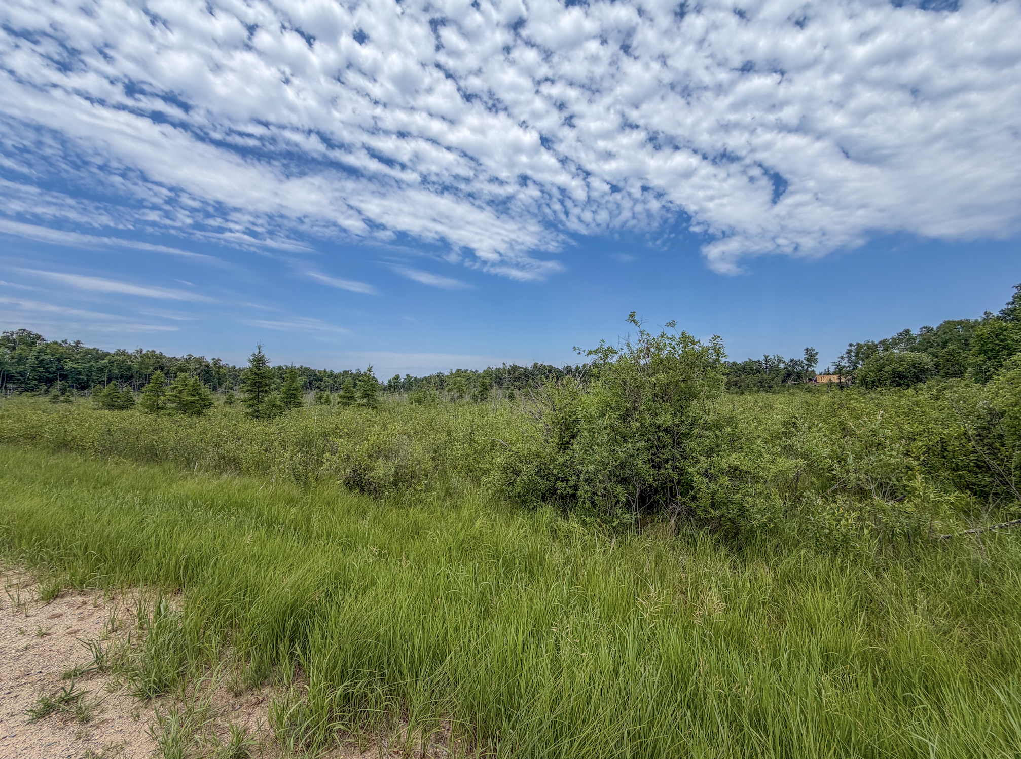 Tbd Grant Hills Road Southwest Bemidji, MN 56601 - Photo 7 of 9