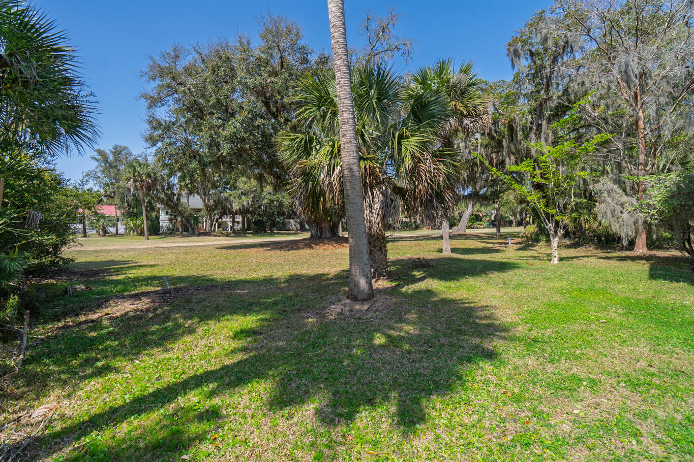 864 Club Cottage Road Edisto Island, SC 29438 - Photo 37 of 55 untitled-35