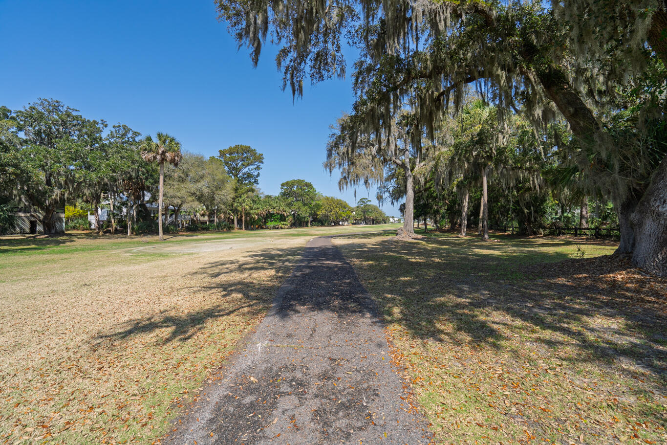 864 Club Cottage Road Edisto Island, SC 29438 - Photo 38 of 55 untitled-36