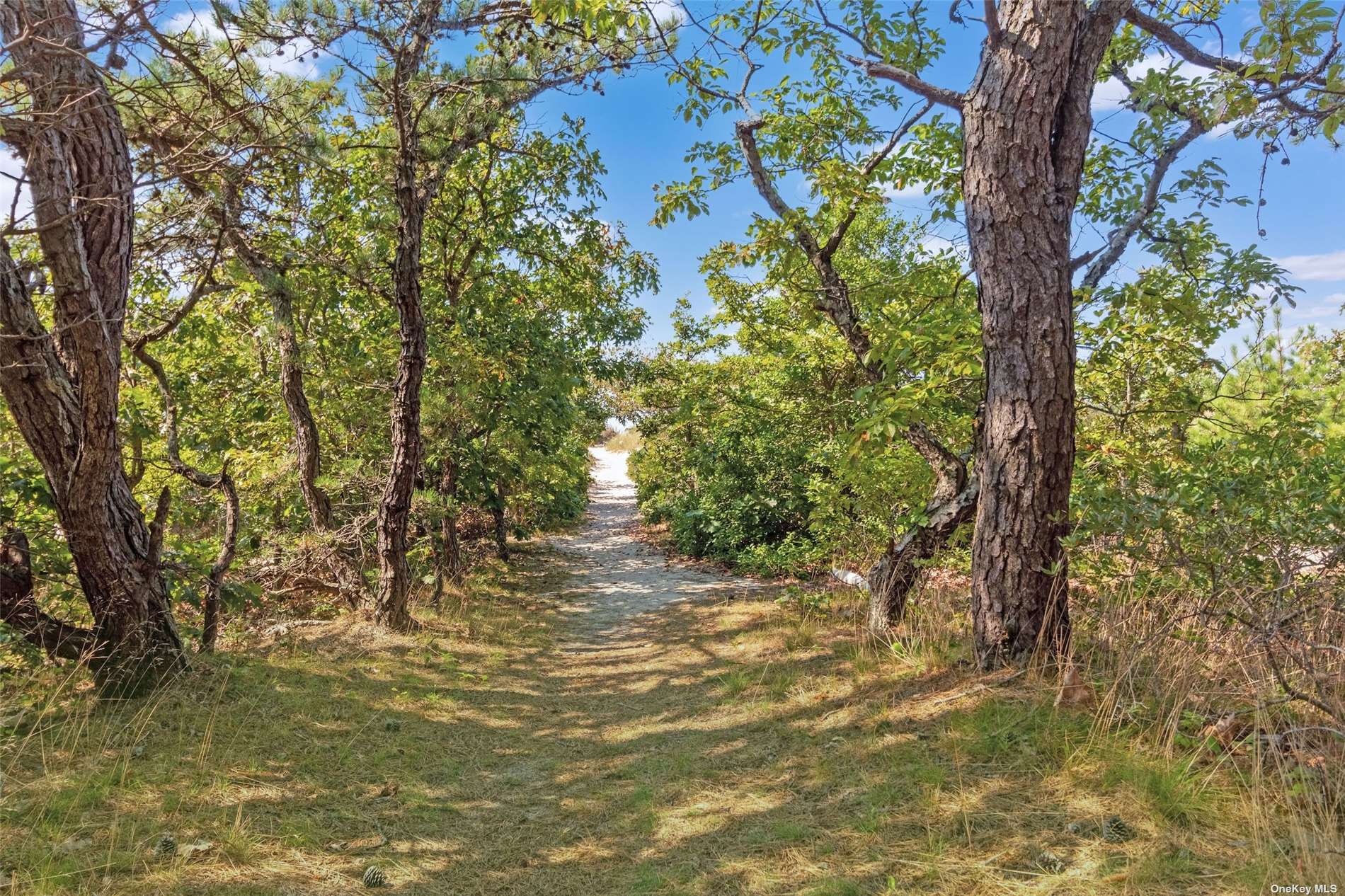3651 Peconic, undefined 00000 - Photo 21 of 29