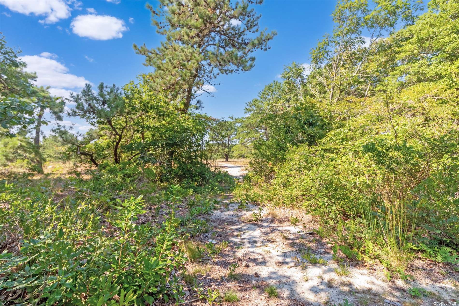 3651 Peconic, undefined 00000 - Photo 22 of 29