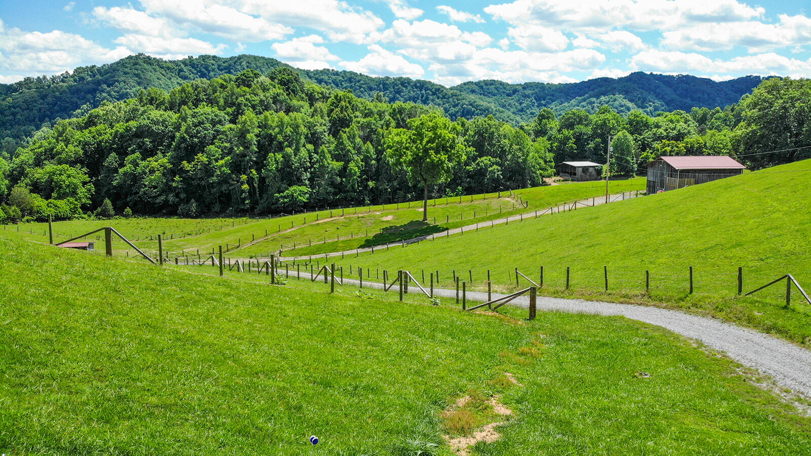635 Ivy Valley Road Gate City, VA 24251 - Photo 4 of 66 635 Ivy Valley Road
