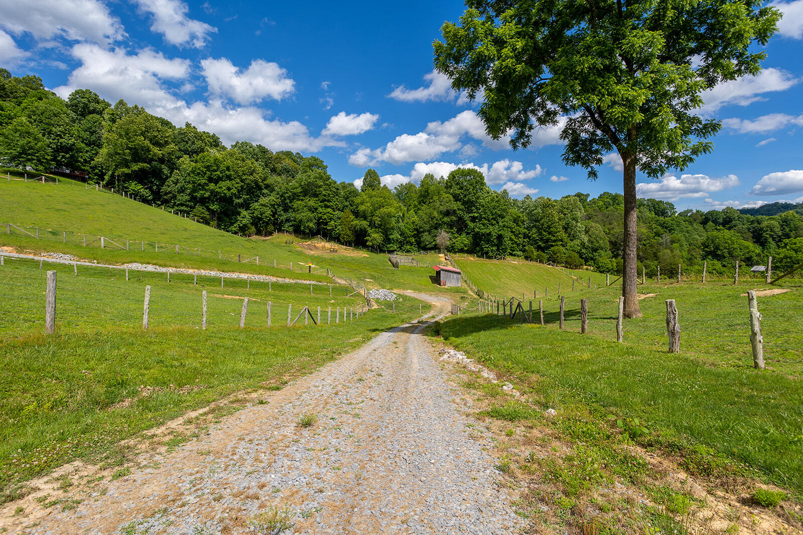 635 Ivy Valley Road Gate City, VA 24251 - Photo 44 of 66 635 Ivy Valley Road