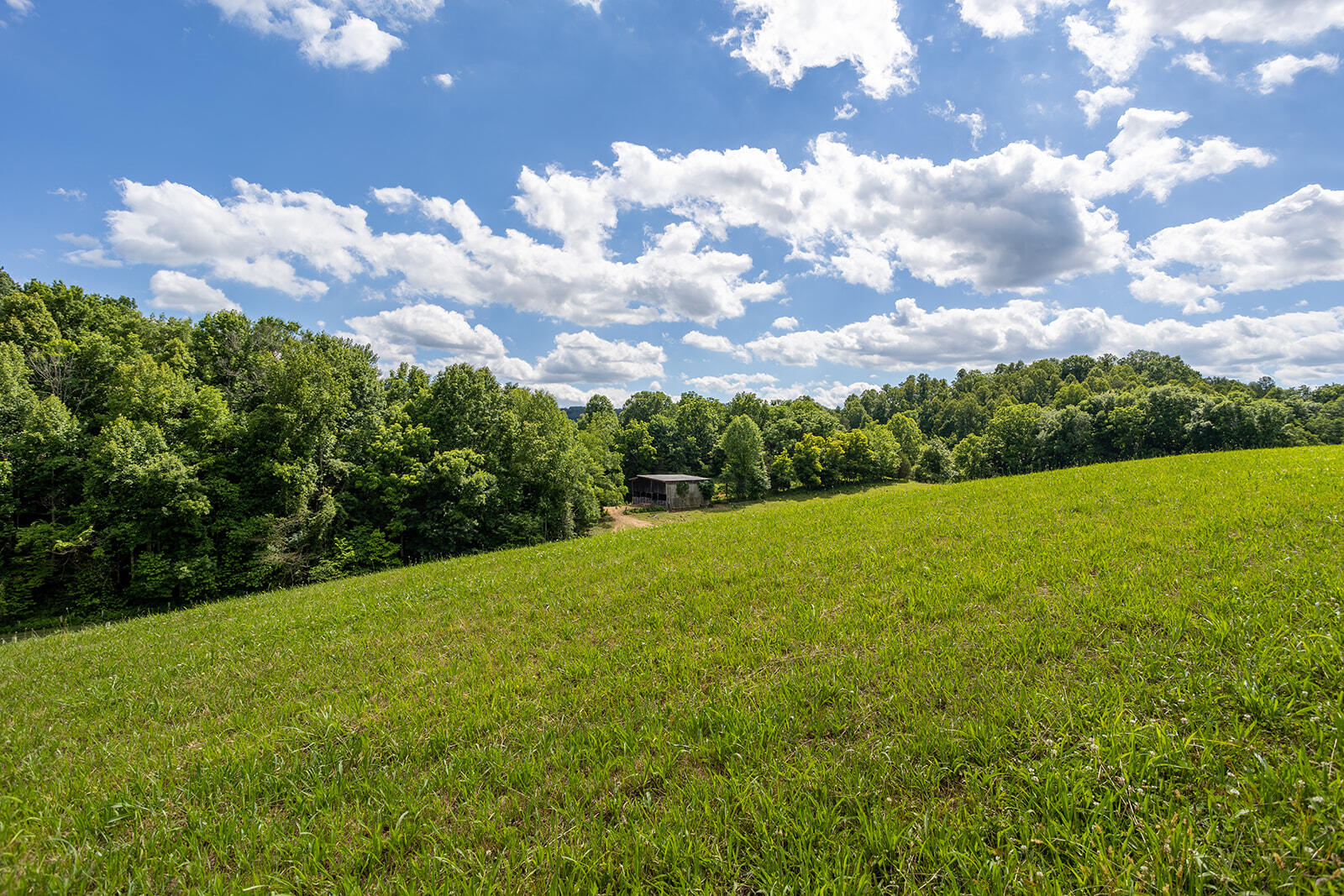 635 Ivy Valley Road Gate City, VA 24251 - Photo 50 of 66 635 Ivy Valley Road