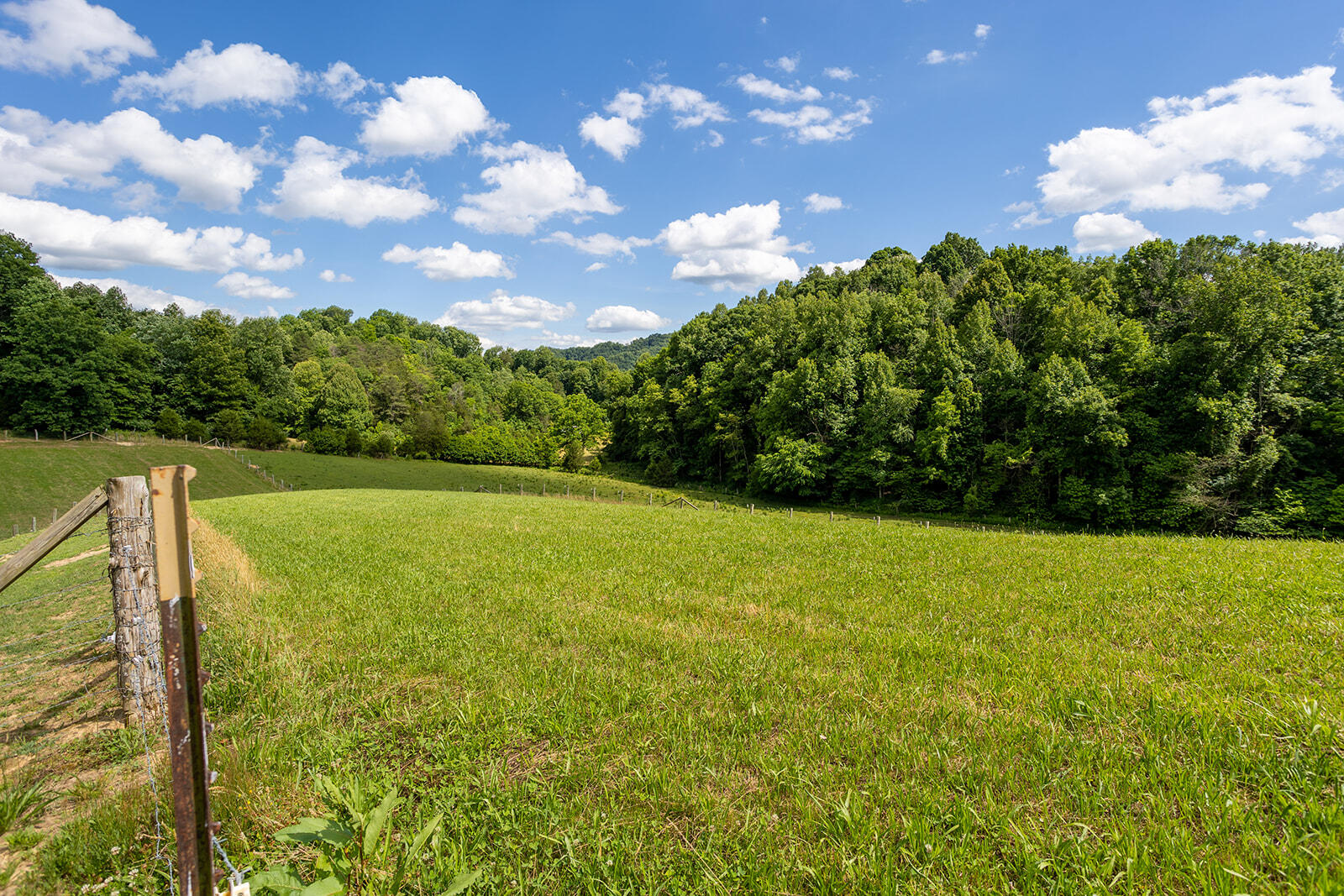635 Ivy Valley Road Gate City, VA 24251 - Photo 52 of 66 Flat Pasture Land
