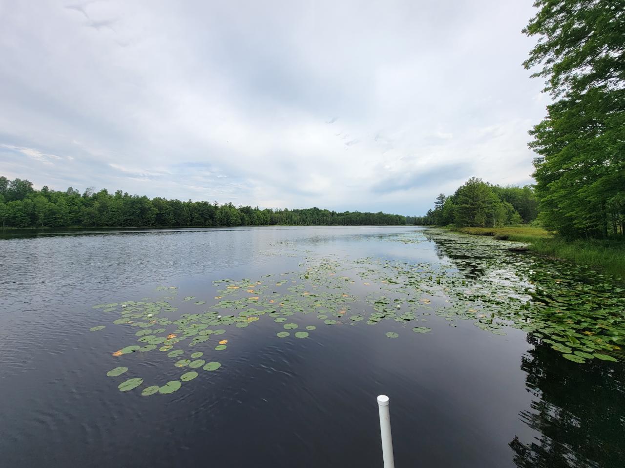 N6598 Neva Lake Road Deerbrook, WI 54424 - Photo 21 of 61 Gallery Image 21