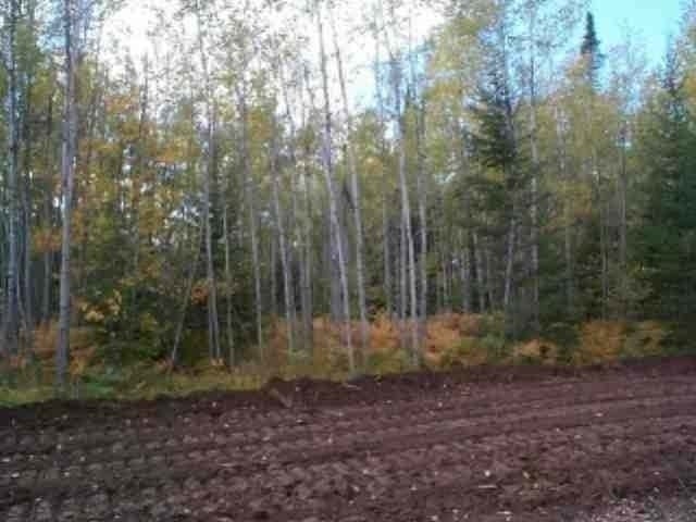 Lot 38 Nathan Pass Mercer, WI 54547 - Photo 5 of 7 Gallery Image 5