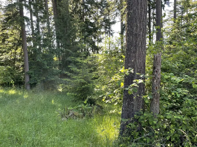 $399,000 | Why Worry Lane, Eugene, OR 97405