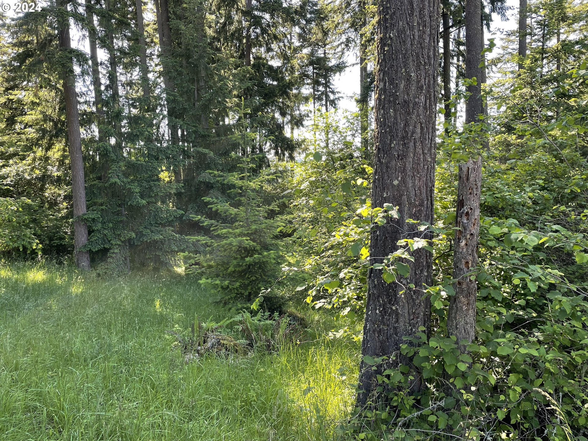 Why Worry Lane Eugene, OR 97405 - Photo 12 of 15