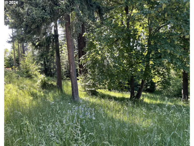 $399,000 | Why Worry Lane, Eugene, OR 97405