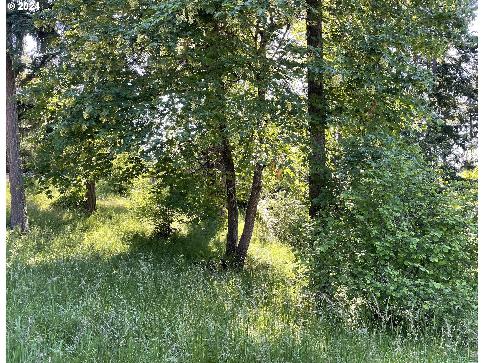 Why Worry Lane Eugene, OR 97405 - Photo 15 of 15