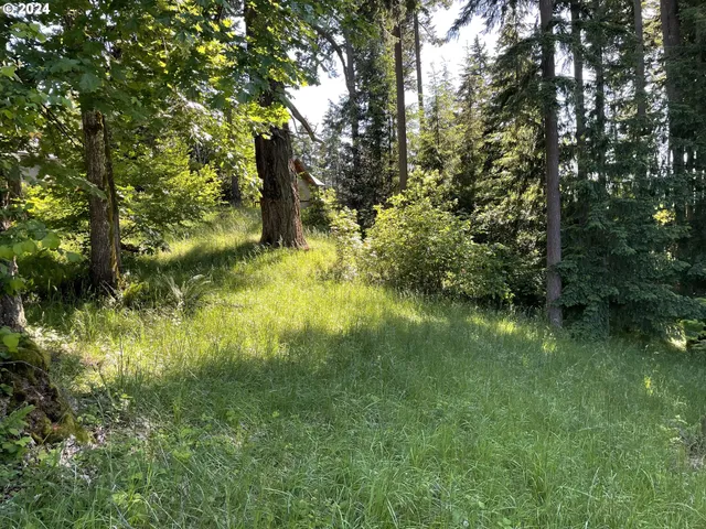 $399,000 | Why Worry Lane, Eugene, OR 97405