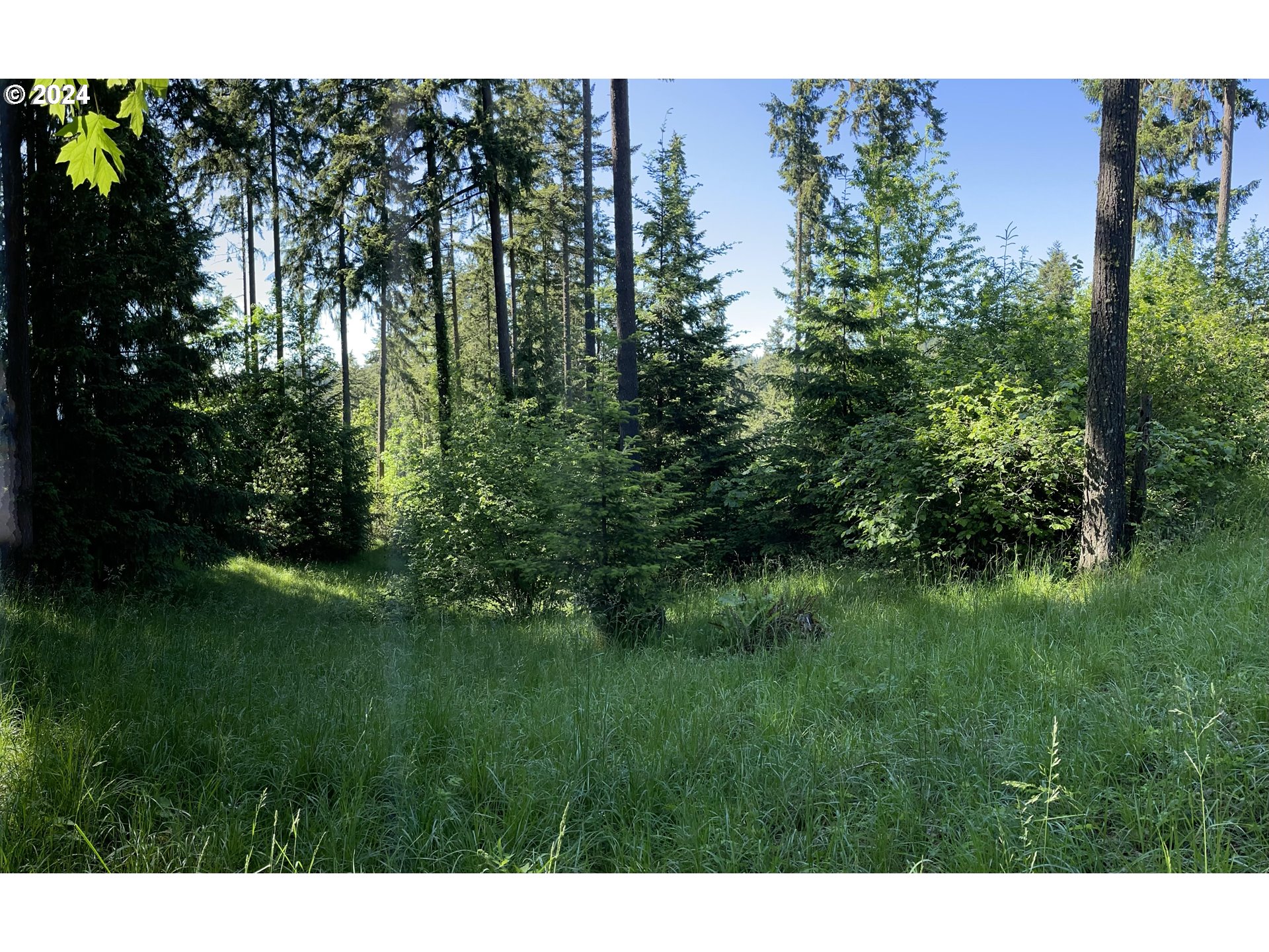 Why Worry Lane Eugene, OR 97405 - Photo 7 of 15