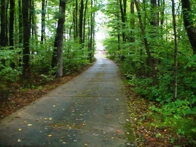 W9054 South Lake Road Willard, WI 54493 - Photo 19 of 22 Gallery Image 19
