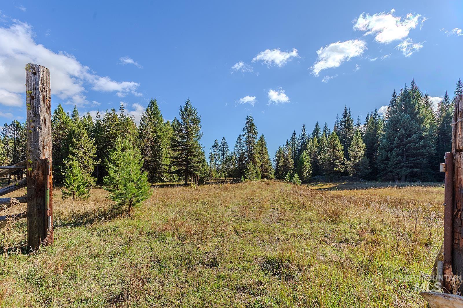 25314 Soldiers Meadow Road Winchester, ID 83555 - Photo 30 of 45 View of woods featuring a rural view