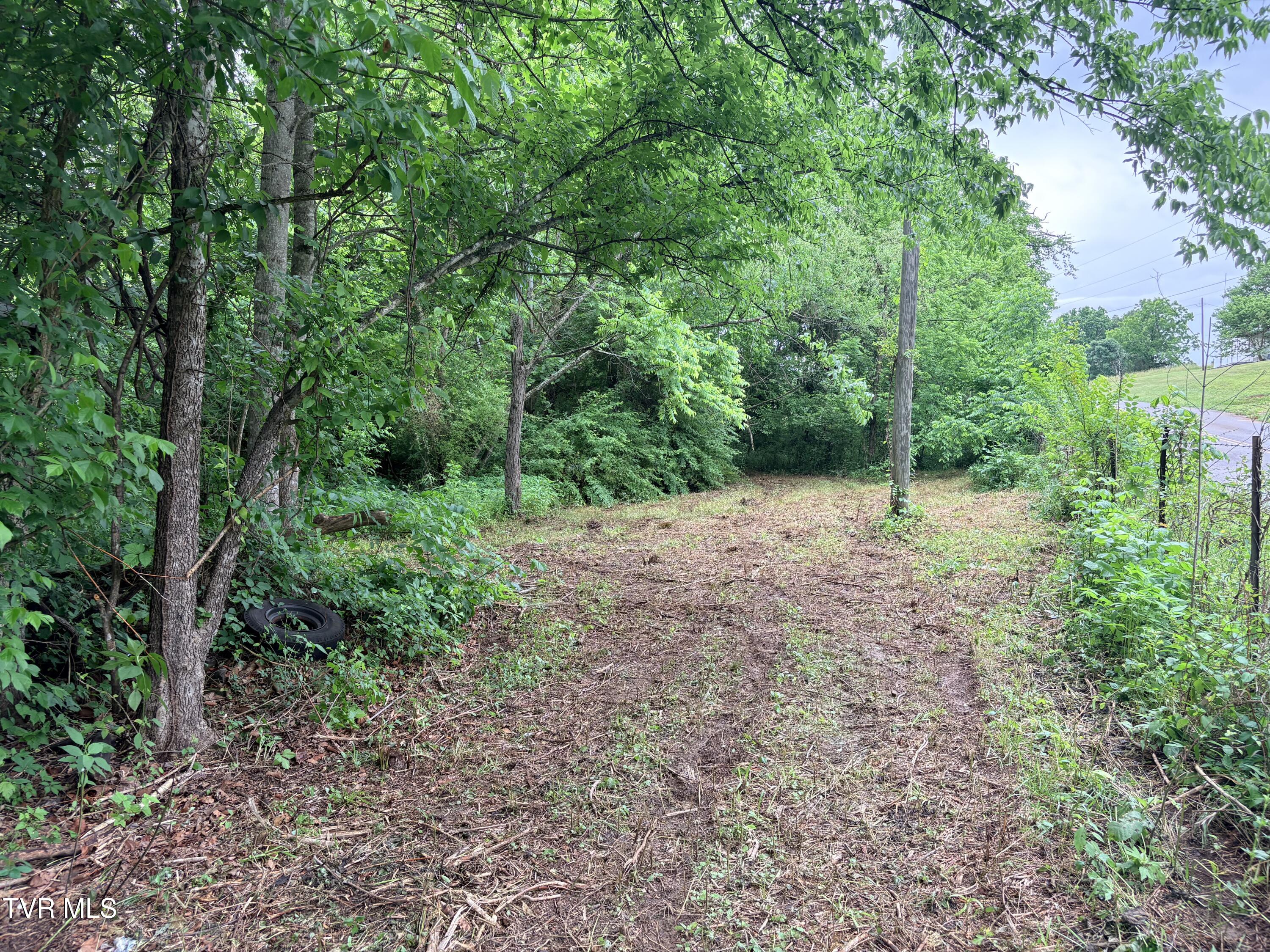 0 Shackleford Road Mosheim, TN 37818 - Photo 2 of 21 IMG_9902
