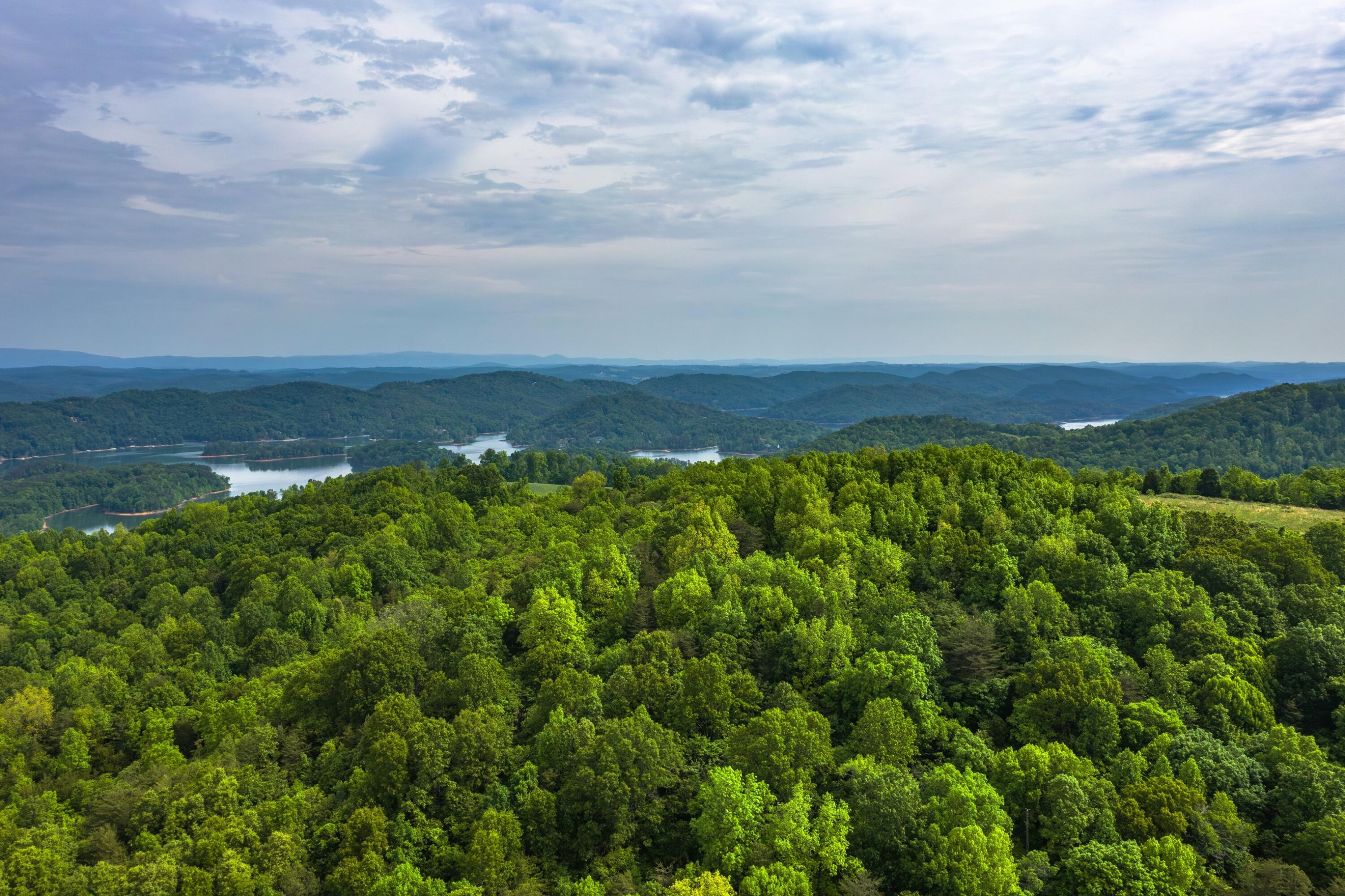 114 Graves Hollow Road Maynardville, TN 37807 - Photo 28 of 32 Property-14.jpg-SMALL
