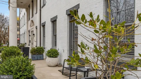 a view of a bunch of flowers