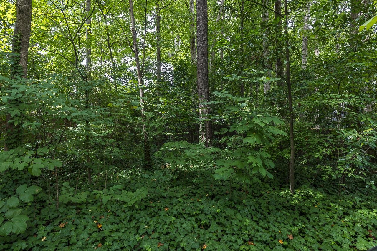7309 Glendower Road Raleigh, NC 27613 - Photo 16 of 19 Photo 16