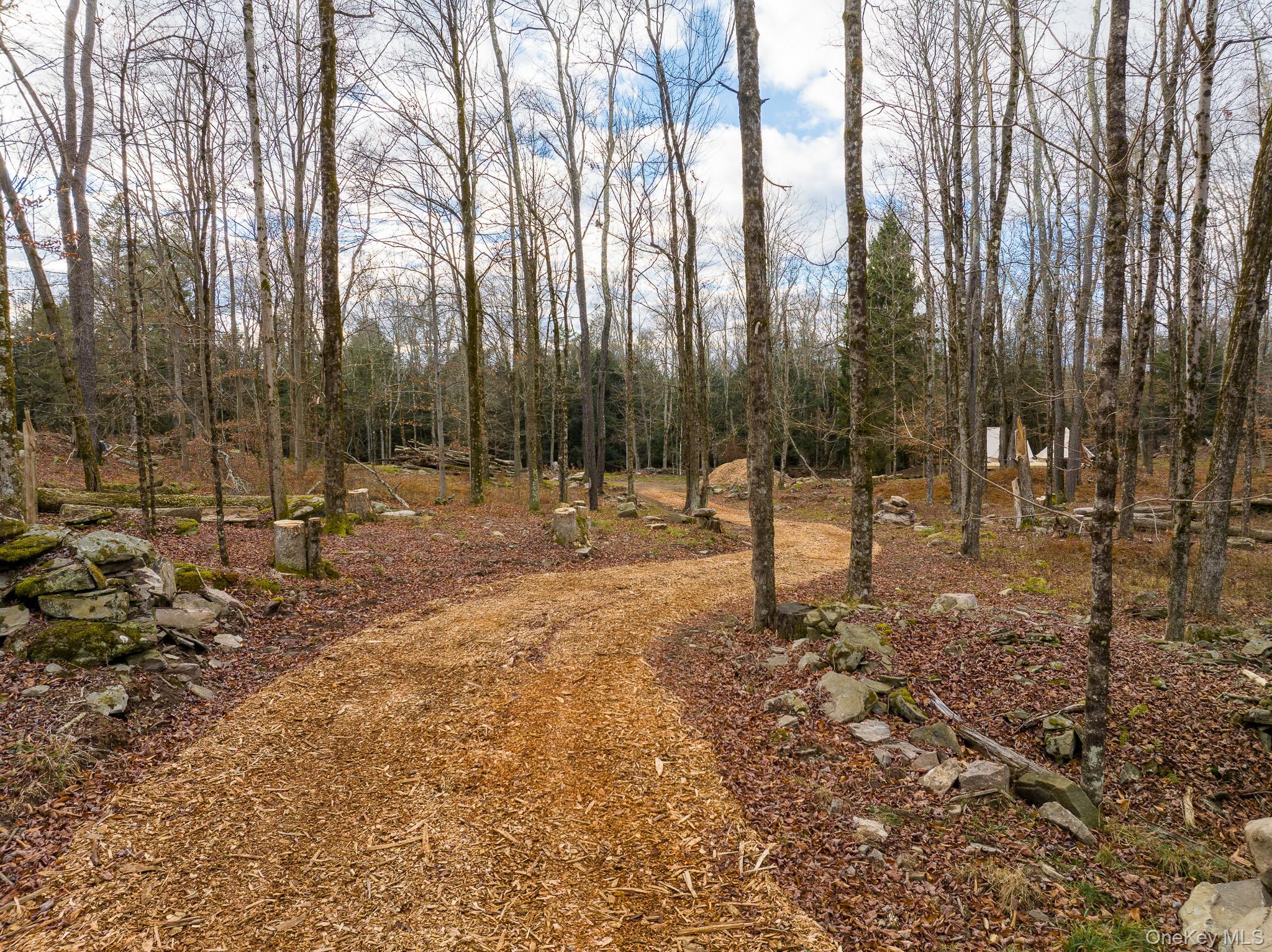 670 Creamery Road Mongaup Valley, NY 12762 - Photo 43 of 47 a view of outdoor space with trees