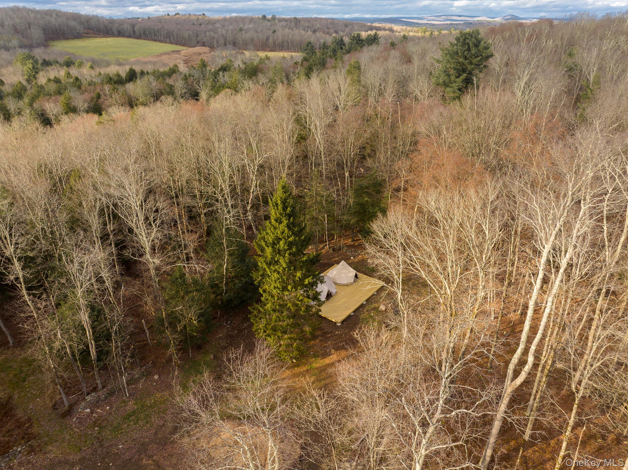 670 Creamery Road Mongaup Valley, NY 12762 - Photo 44 of 47 a view of a lake with lots of trees