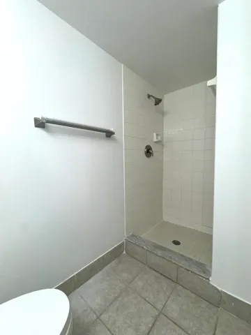 a bathroom with a shower and toilet