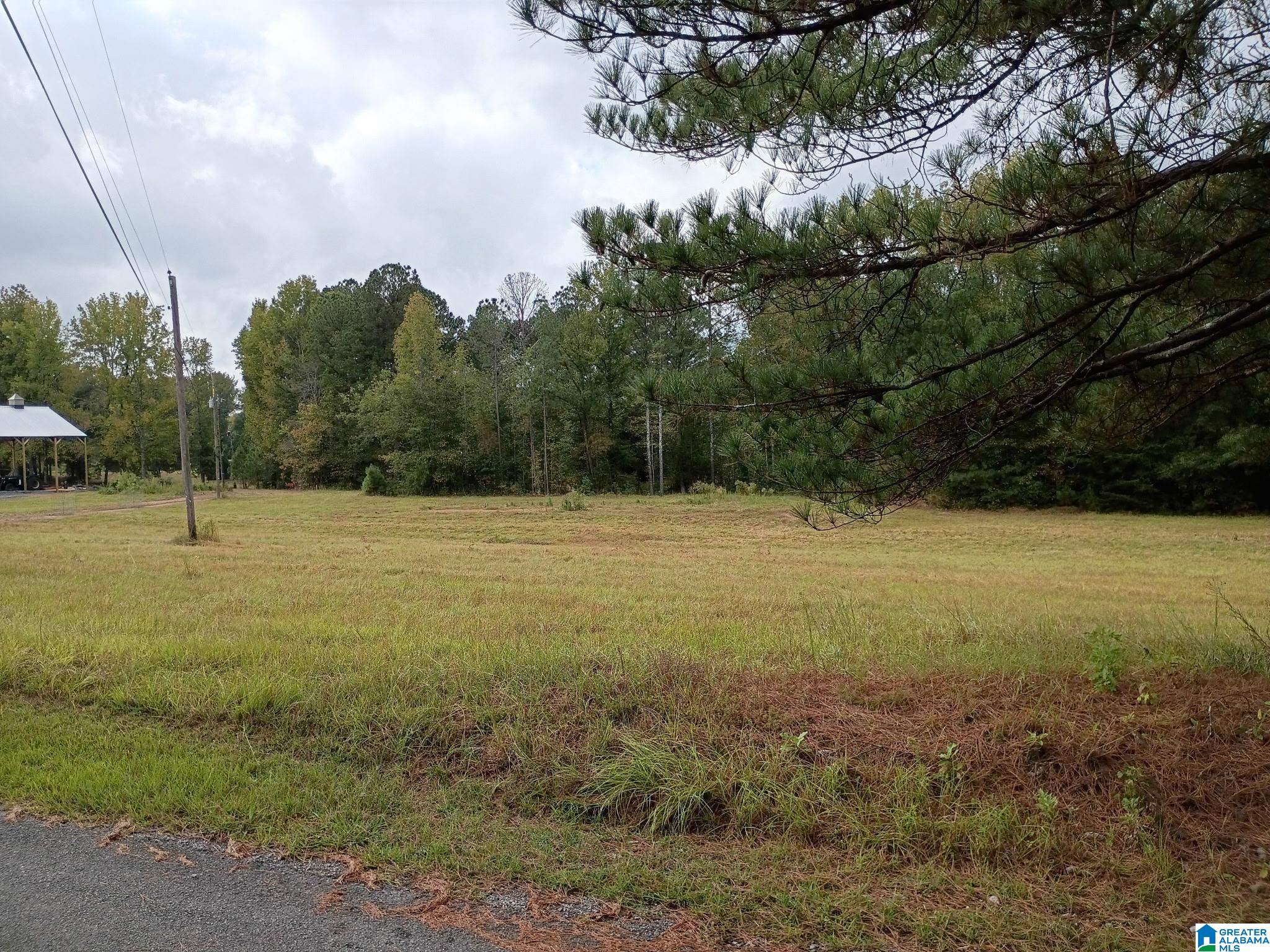 0 Sitton Road Hayden, AL 35079 - Photo 2 of 3