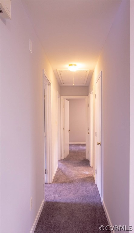 21104 Rabbit Run Petersburg, VA 23803 - Photo 11 of 12 Gallery Image 11