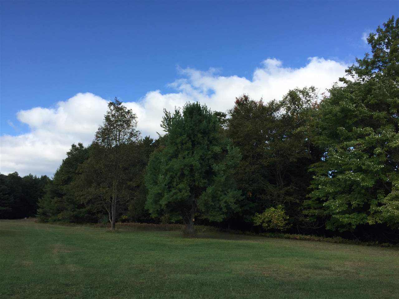 3070 Ridgley Road Benzonia, MI 49616 - Photo 14 of 18 1868277-13.JPG