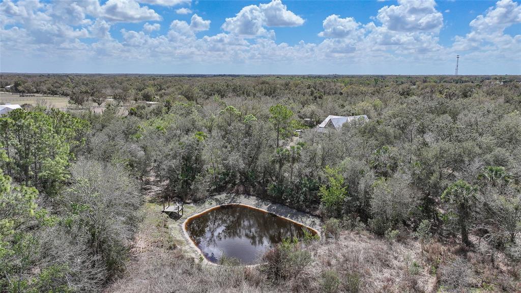 9796 Southwest Southern Dreams Road Arcadia, FL 34269 - Photo 62 of 72